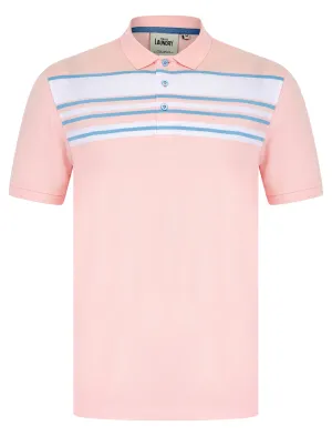 Hayden Yarn Dyed Stripe Cotton Pique Polo Shirt in Pinkesque - Tokyo Laundry