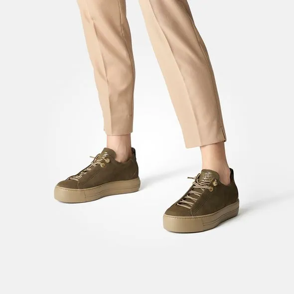Paul Green 5017255- Trainer