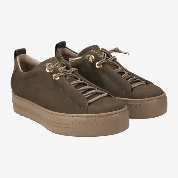 Paul Green 5017255- Trainer