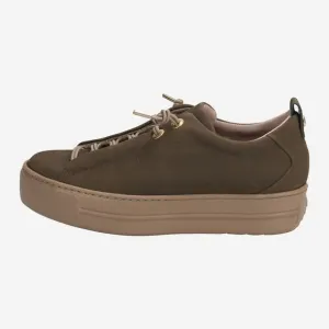 Paul Green 5017255- Trainer