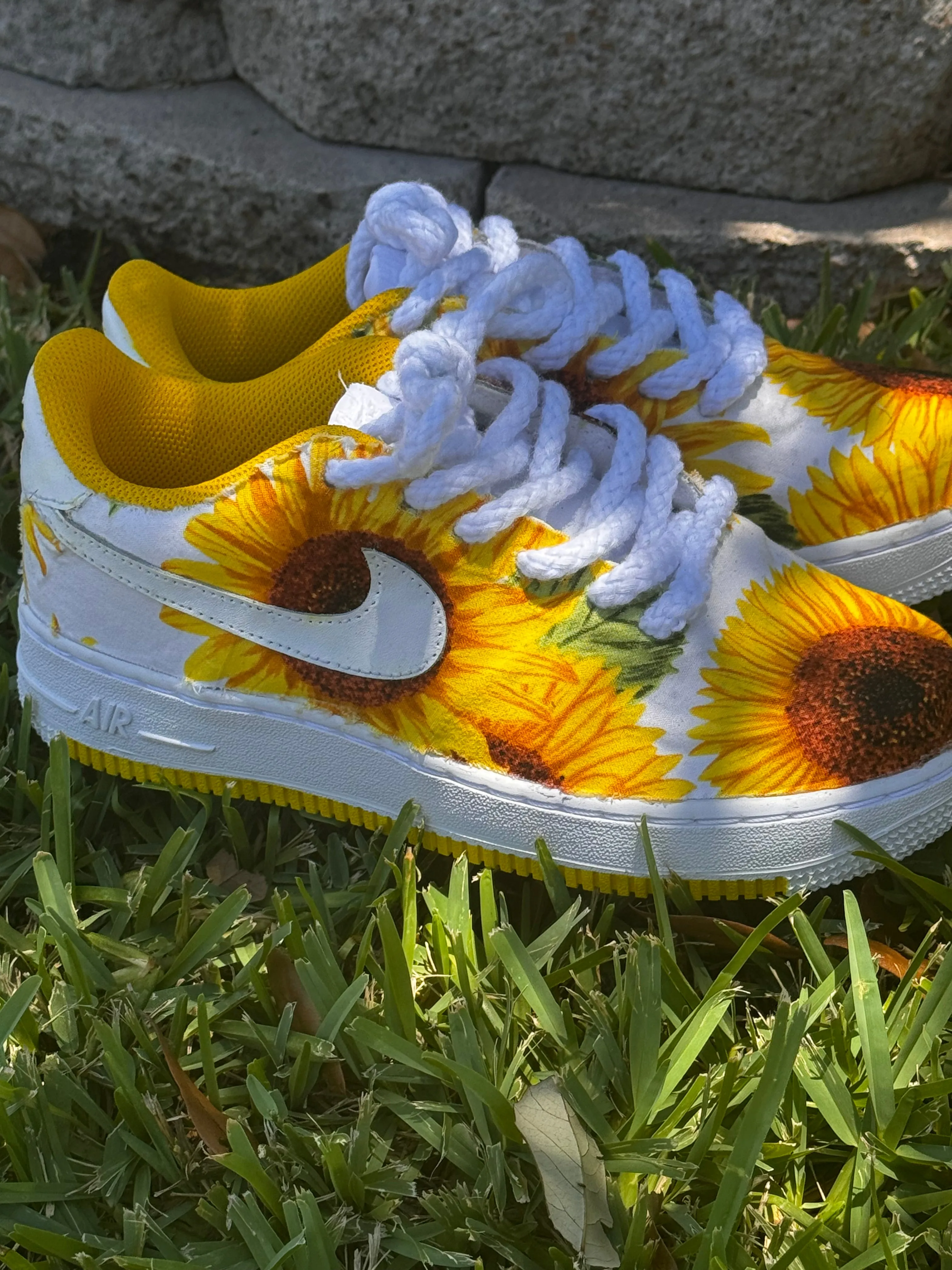 Sunflower AF1