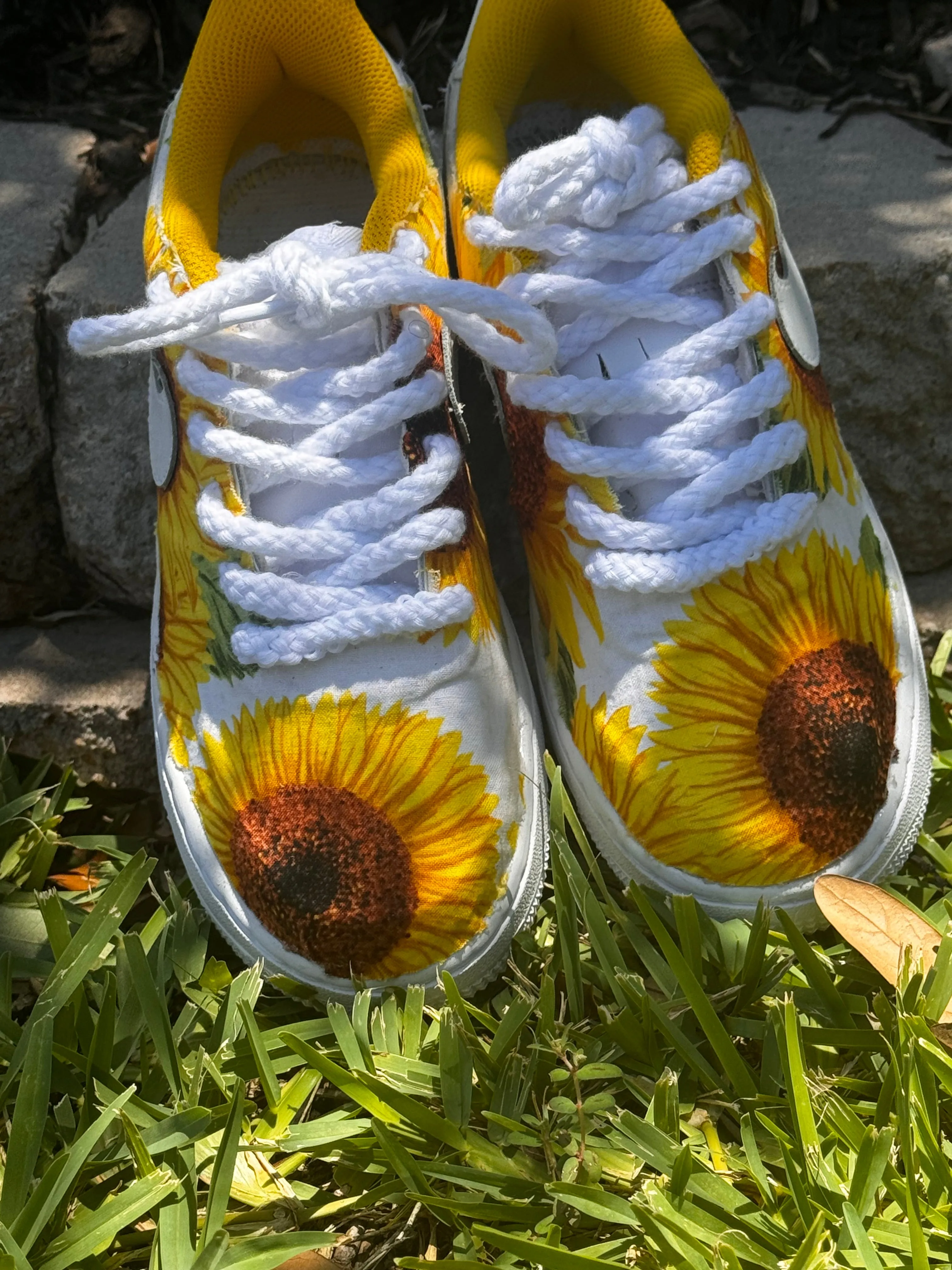 Sunflower AF1
