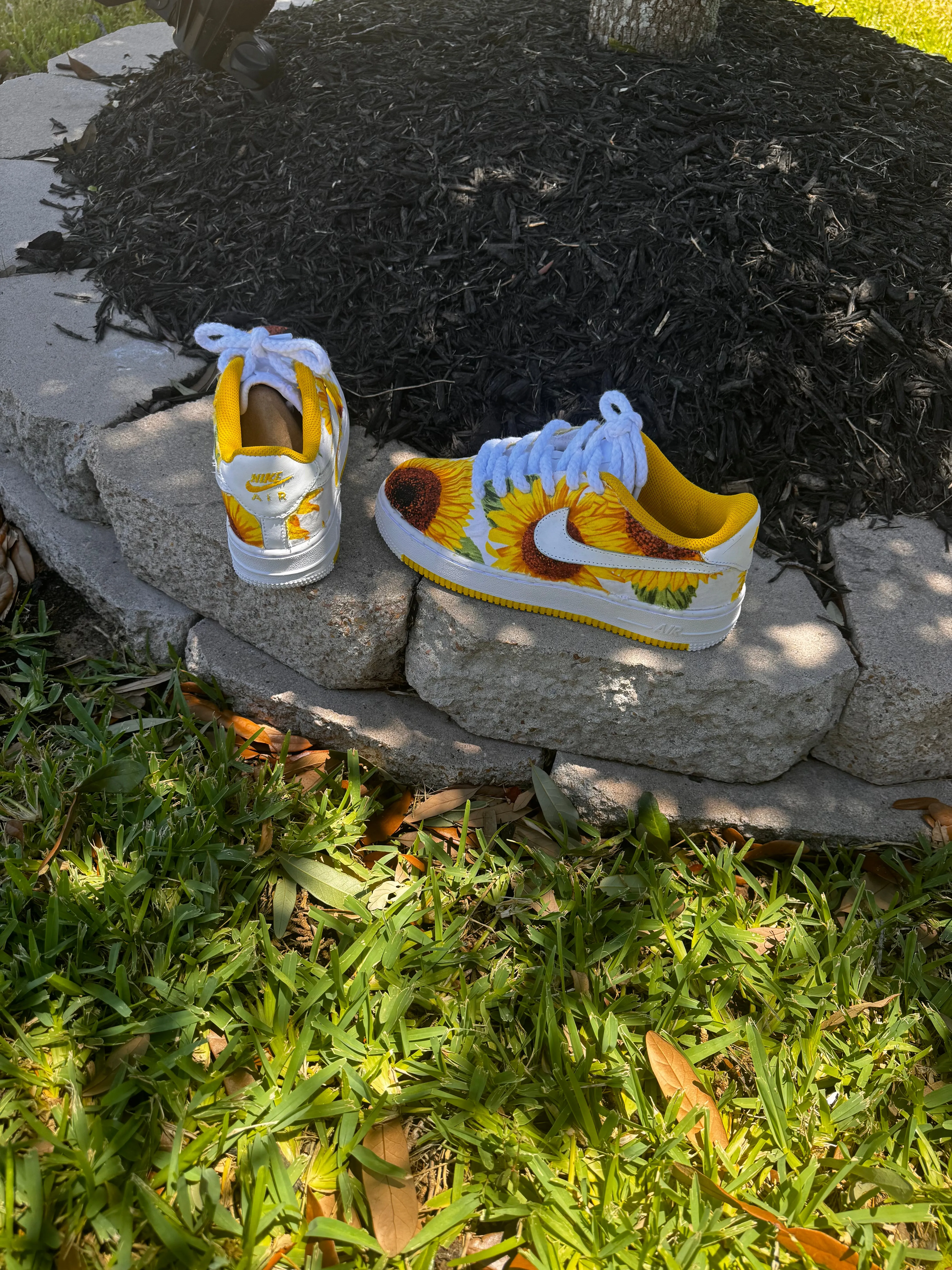 Sunflower AF1