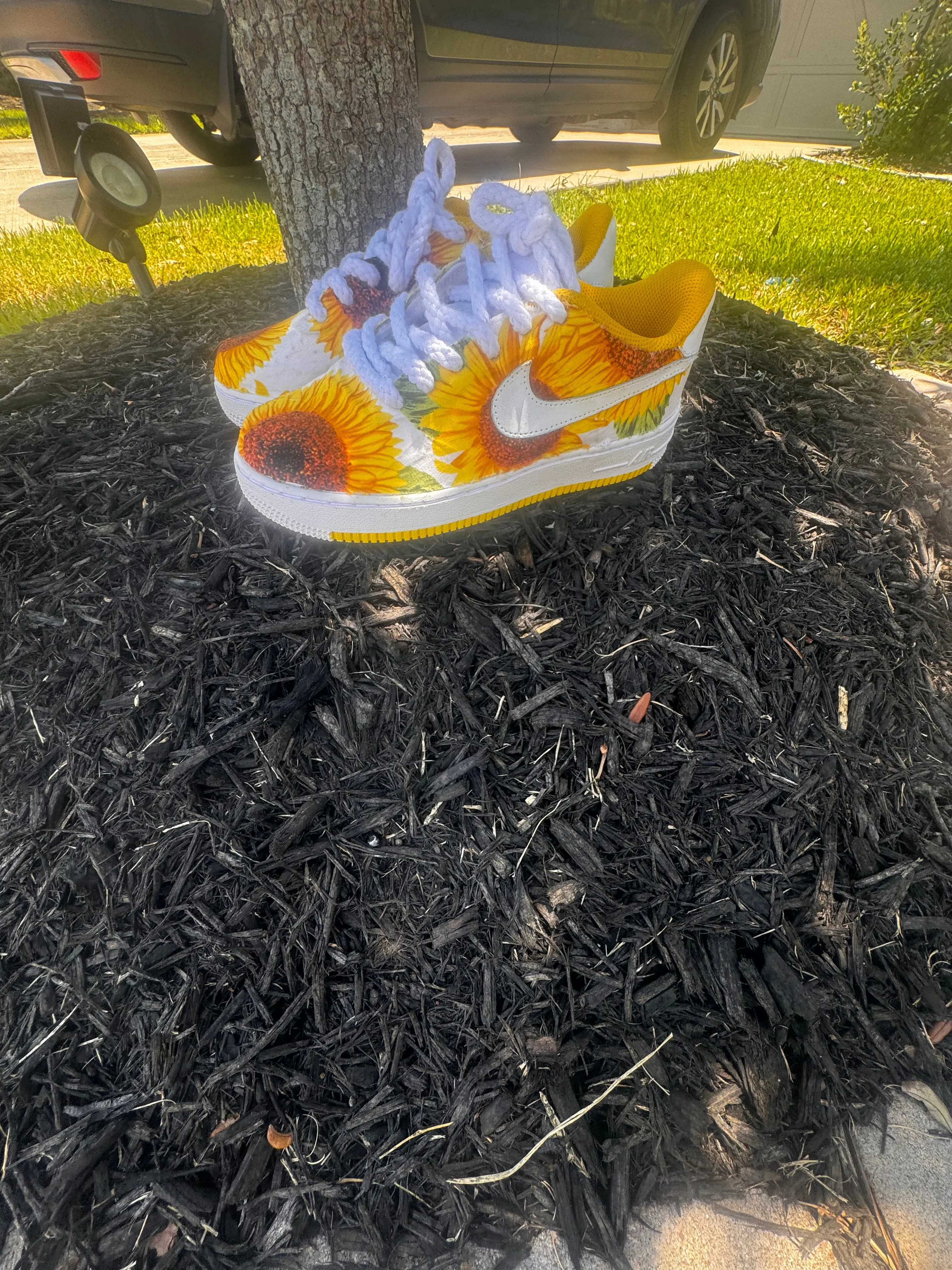 Sunflower AF1